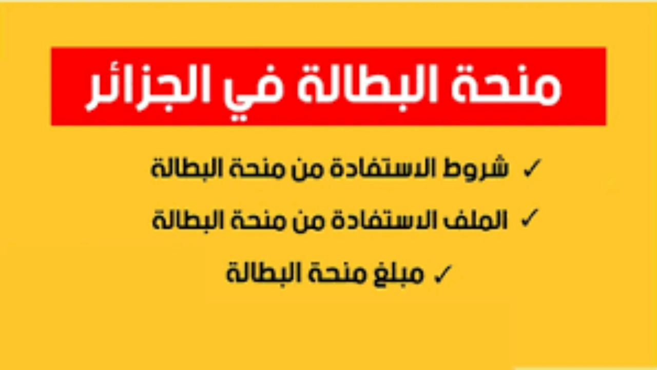 شروط منحة البطالة في الجزائر 2024.. الوكالة الوطنية للتشغيل تُوضح طريقة التقديم Https://minha anem dz