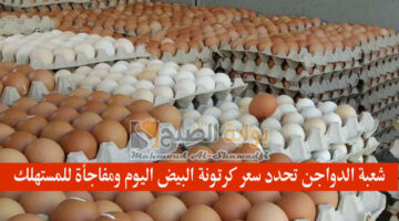 شعبة الدواجن تحدد سعر كرتونة البيض اليوم ومفاجأة للمستهلك