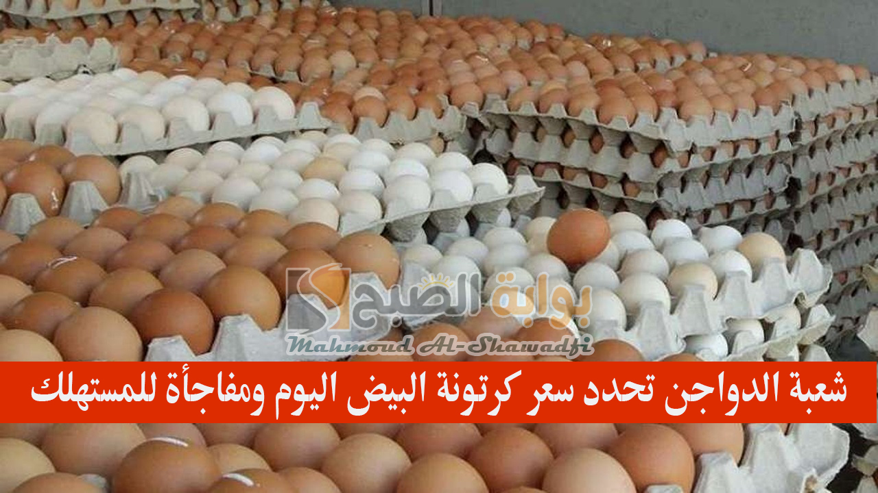 "سعرها غير عادل".. شعبة الدواجن تحدد سعر كرتونة البيض اليوم ومفاجأة للمستهلك 2 “سعرها غير عادل”.. شعبة الدواجن تحدد سعر كرتونة البيض اليوم ومفاجأة للمستهلك
