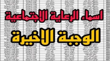 ط 2 800x500 1