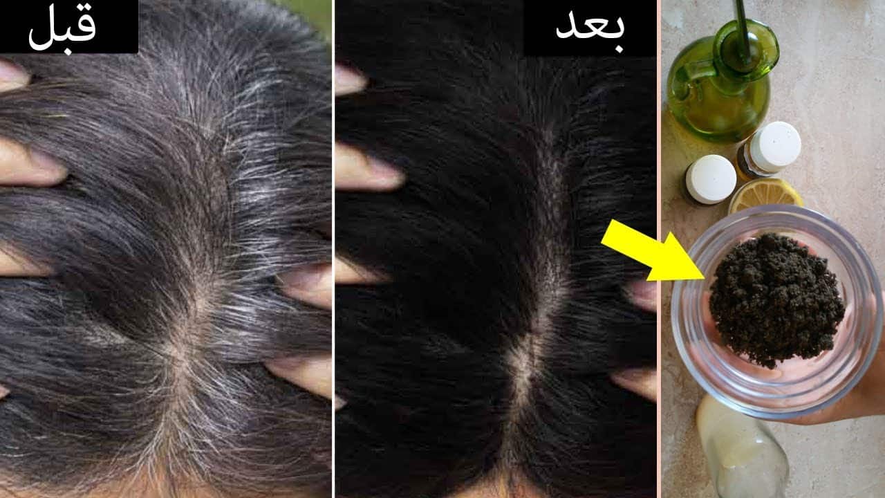 مدايقك ومكسوفة منه تعالى هعلمك وصفات طبيعة للتخلص من شيب الشعر بواصفات طبيعية امنه وتغذي وترطب الشعر 2 مدايقك ومكسوفة منه تعالى هعلمك وصفات طبيعة للتخلص من شيب الشعر بواصفات طبيعية امنه وتغذي وترطب الشعر