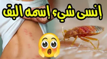 طرق طبيعية للتخلص من حشرة البق