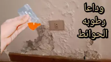 طريقة جبارة للتخلص من رطوبة و عفن الحوائط