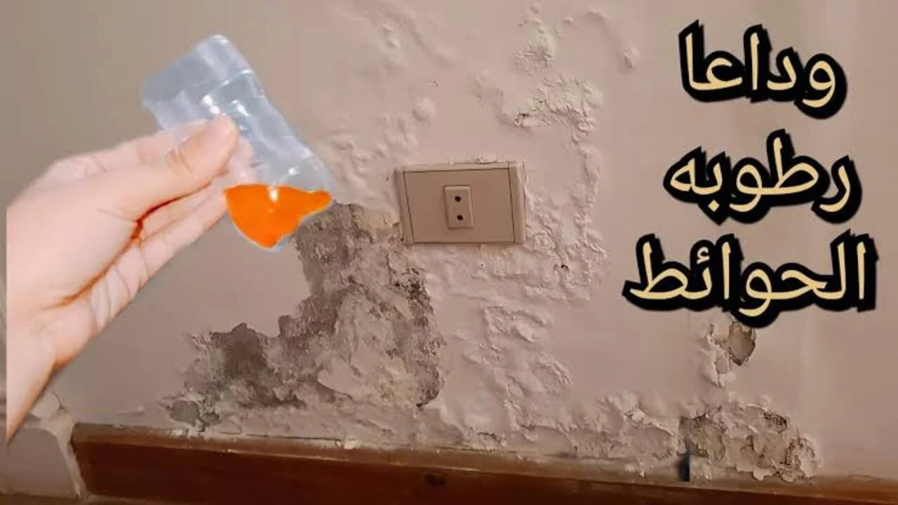 بيتك هو عنوانك... طريقة جبارة للتخلص من رطوبة و عفن الحوائط والجدران هترجع زى الأول من تانى بدون تكاليف 2 بيتك هو عنوانك… طريقة جبارة للتخلص من رطوبة و عفن الحوائط والجدران هترجع زى الأول من تانى بدون تكاليف