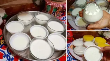 طريقة عمل الزبادي في المنزل