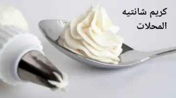 طريقة عمل كريم شانتيه في البيت