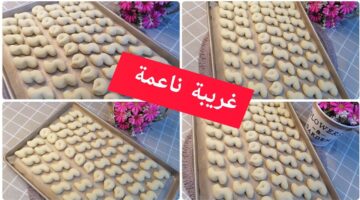 غريبة ناعمة