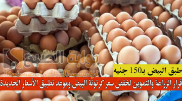 قرار الزراعة والتموين لخفض سعر كرتونة البيض وموعد تطبيق الأسعار الجديدة