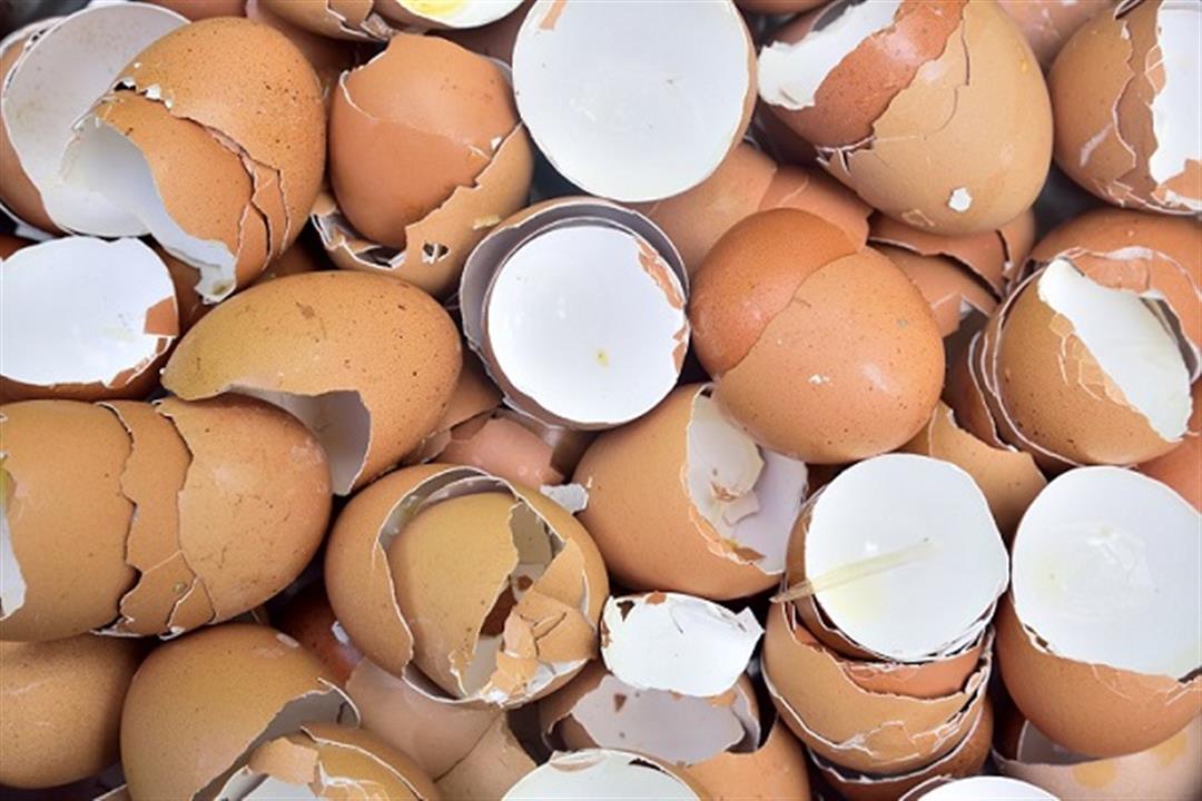 فكرة عبقرية.. مترميش قشر البيض تاني استخدامات هامة هتفيدك كتير هتقولي يارتني كنت اعرفها