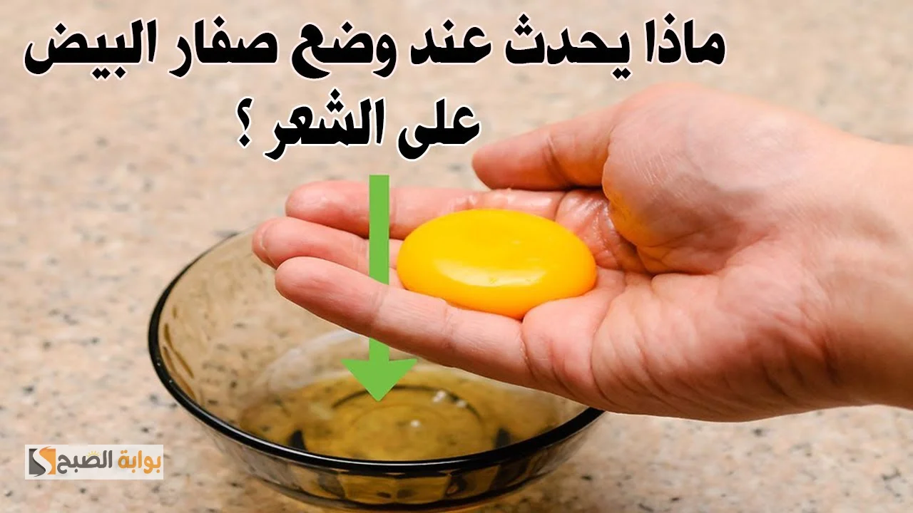 كلمة السر أقنعة البيض..  ماسكات طبيعية هتغير شعرك 360 درجة لتعزيز صحة الشعر وإطالته