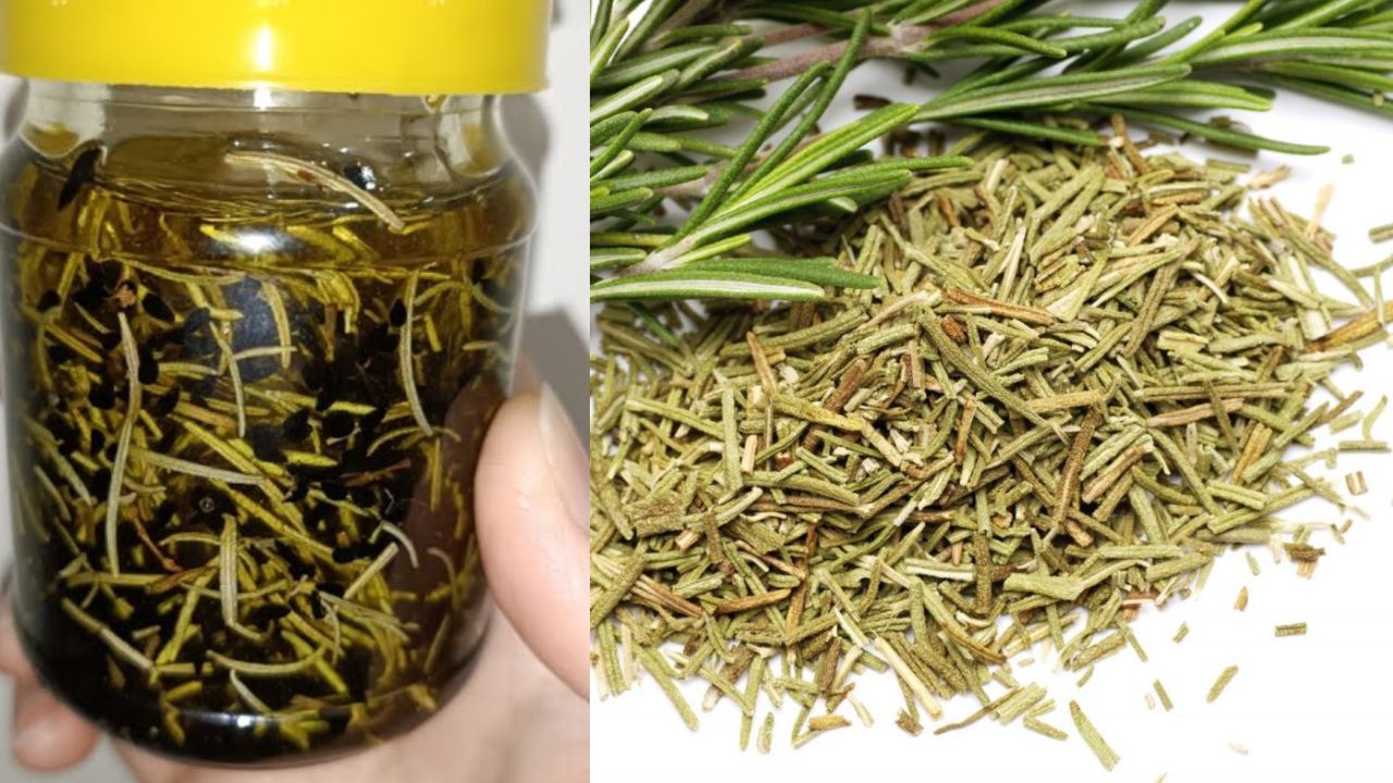 بمكونات طبيعية .. اعملي كيراتين طبيعي لتكثيف وتنعيم الشعر بالروزماري في البيت النتيجة مذهلة