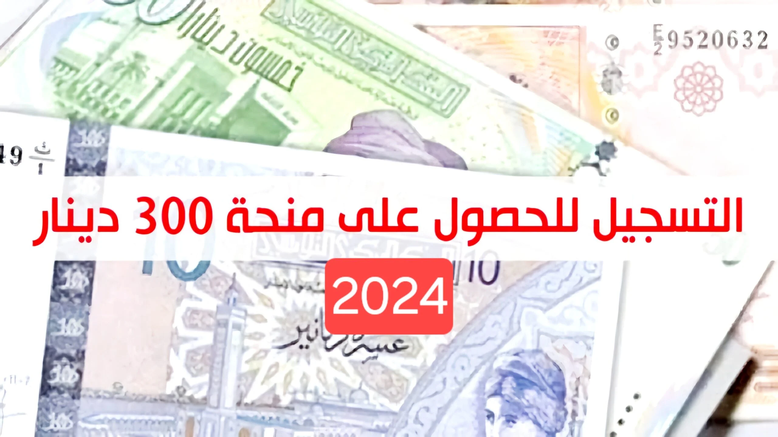 “سجل برابط سريع”.. لينــك التسجيل في منحة 300 دينار تونس 2024 عبر موقع وزارة الشؤون الاجتماعية social.gov.tn