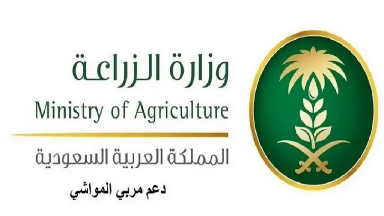 خطوات التسجيل في دعم المواشي 1446 وما شروط استحقاق الدعم؟