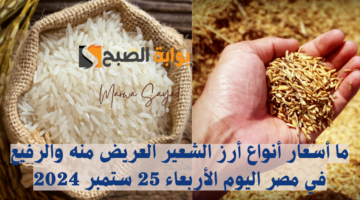 ما أسعار أنواع أرز الشعير العريض منه والرفيع في مصر اليوم الأربعاء 25 ستمبر 2024