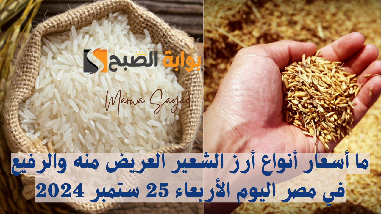 “ارتفاع جديد في الأسعار” .. ما أسعار أنواع أرز الشعير العريض منه والرفيع في مصر اليوم الأربعاء 25 ستمبر 2024؟