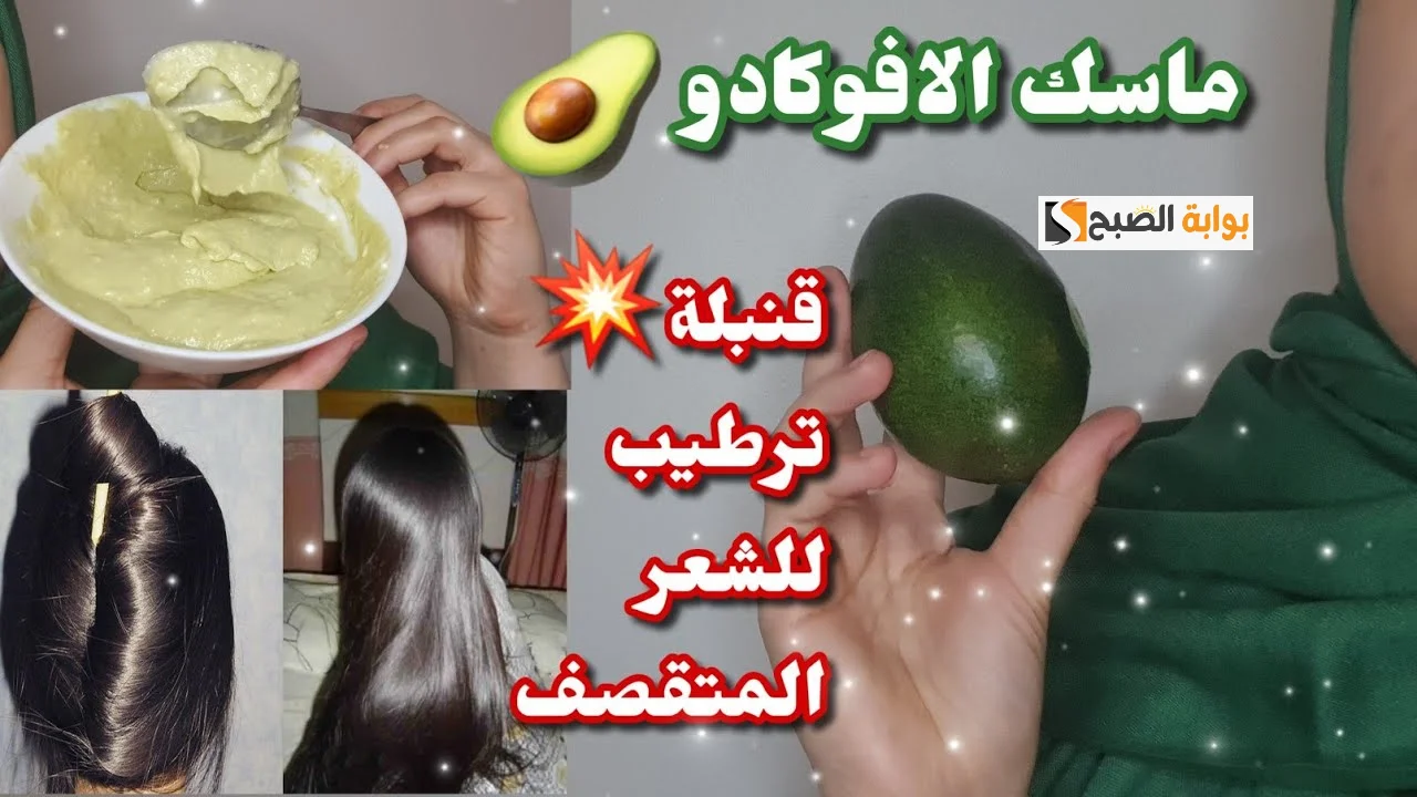 ترطبه بعمق وتغذى أطرافه.. قناع الأفوكادو والمايونيز لحل مشكلة الشعر الجاف والمتقصف