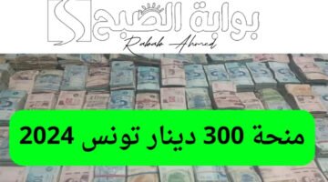 منحة 300 دينار تونس 2024
