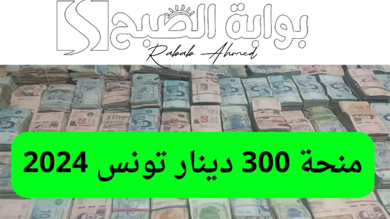 "وزارة الشؤون الاجتماعية التونسية توضح".. كيفية التسجيل في منحة 300 دينار تونس 2024 5 “وزارة الشؤون الاجتماعية التونسية توضح”.. كيفية التسجيل في منحة 300 دينار تونس 2024