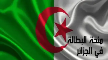منحة البطالة بالجزائر 2024