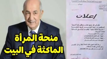 منحة المرأة الماكثة في البيت 2024 2 1024x528 1