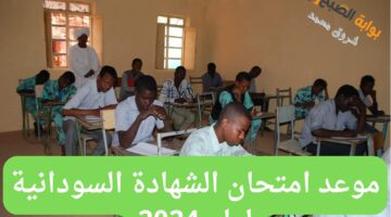 موعد امتحان الشهادة السودانية لعام 2024