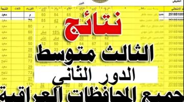 نتائج الثالث متوسط 2024 الدور الثاني 4