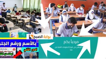 نتائج الدبلومات 2024