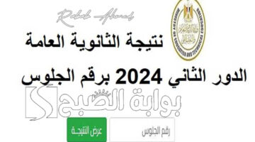 نتيجة الثانوية العامة 2024 الدور الثاني 1