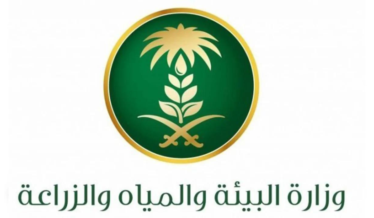 وزارة البيئة توضح طريقة التقديم للحصول على دعم المواشي وأهم الشروط المطلوبة 1446