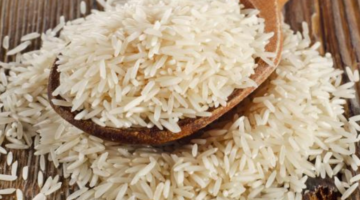 نص فقرتك 20240903 160909 ٠٠٠٠