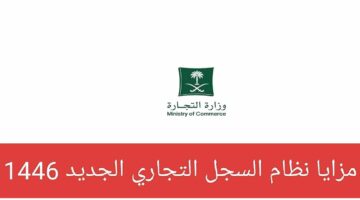 نظام السجل التجاري الجديد