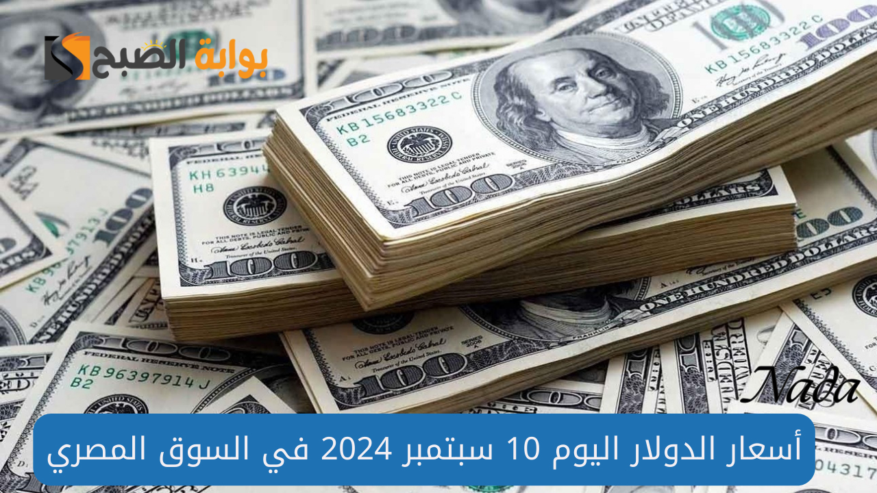 تراجع أسعار الدولار اليوم الثلاثاء 10 سبتمبر 2024 في ختام التعاملات 2 تراجع أسعار الدولار اليوم الثلاثاء 10 سبتمبر 2024 في ختام التعاملات