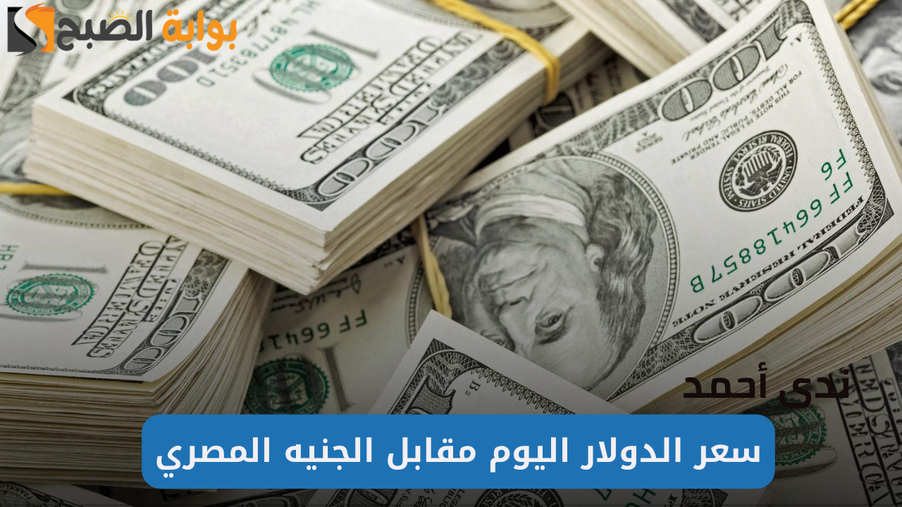 أسعار الدولار اليوم السبت 28 سبتمبر 2024 في جميع البنوك المصرية 2 أسعار الدولار اليوم السبت 28 سبتمبر 2024 في جميع البنوك المصرية