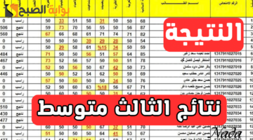 نهي41