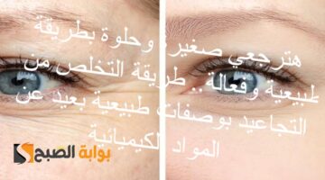 هترجعي صغيرة وحلوة بطريقة طبيعية وفعالة. طريقة التخلص من التجاعيد بوصفات طبيعية بعيد عن المواد الكيميائية 1