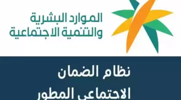 هل يحق للأعزب التسجيل في الضمان المطور