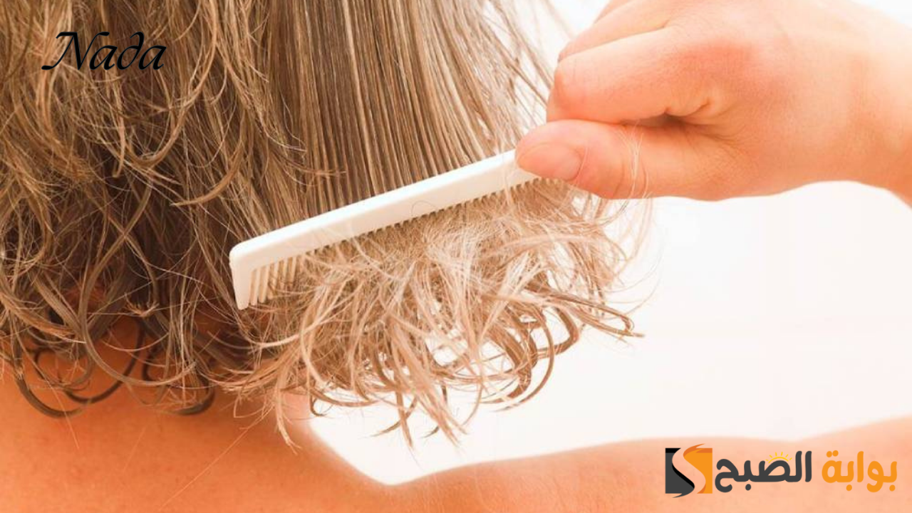 وداعًا للشعر الخفيف وصفات منزلية بزيوت طبيعية لتطويل وكثافة الشعر