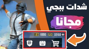 1000013093