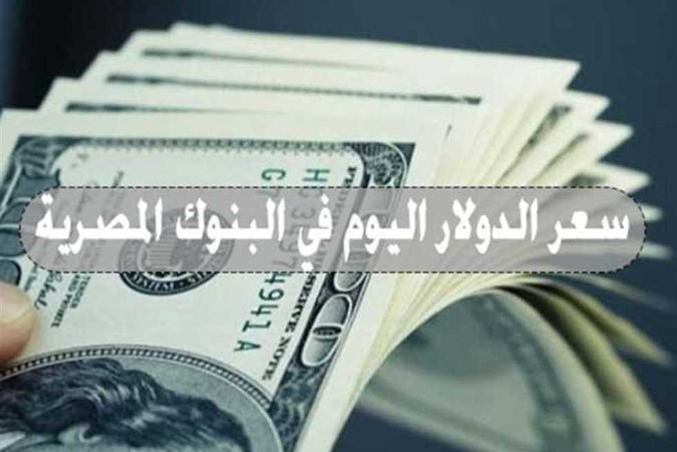 أسعار الدولار: استقرار ملحوظ في السوق المالي اليوم 5 أسعار الدولار: استقرار ملحوظ في السوق المالي اليوم