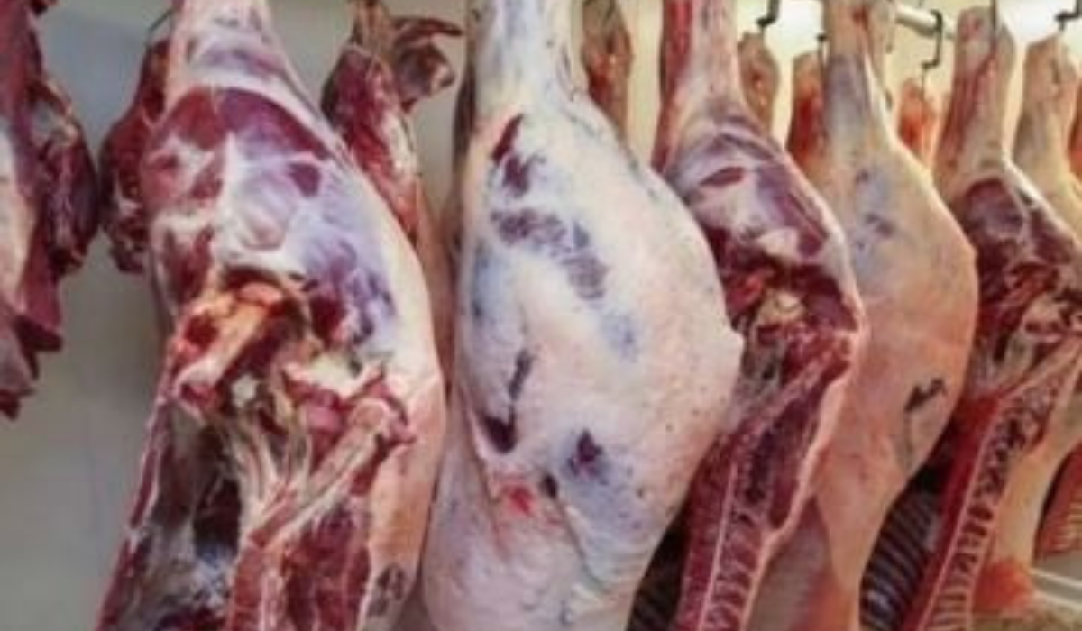 مش معقولة  اللحمة نزلت ده كله مرة واحدة.. انخفاض أسعار اللحوم في الأسواق تعرف على الأسعار الآن