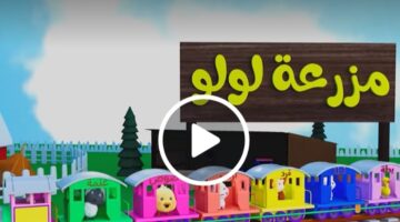 IMG ٢٠٢٤١٠٠١ ١٨٢٢٤٥ 1200 x 800 pixel