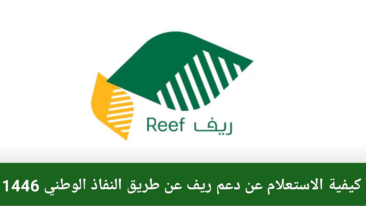 “reef.gov.sa” استعلام عن دعم ريف عن طريق النفاذ الوطني 1446 لمن تنطبق عليهم الشروط وحالات إيقاف الدعم الريفي 2024