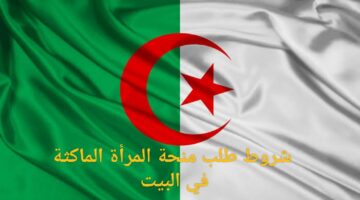 IMG ٢٠٢٤١٠٠٤ ١٤٥٠١٣ 1280 x 720 pixel