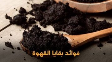 IMG ٢٠٢٤١٠٠٥ ١٩٤١٤٨ 1