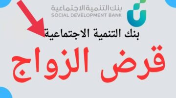 IMG ٢٠٢٤١٠١٦ ١٠١٠٣٧