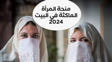 IMG ٢٠٢٤١٠٢٢ ١٨١٢٤٦ 1280 x 720 pixel