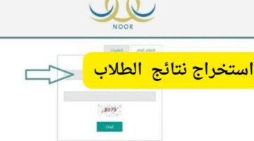 IMG ٢٠٢٤١٠٢٦ ٠١٣٦٤٩