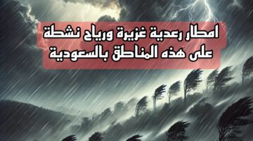 Picsart 24 10 25 17 59 49 487