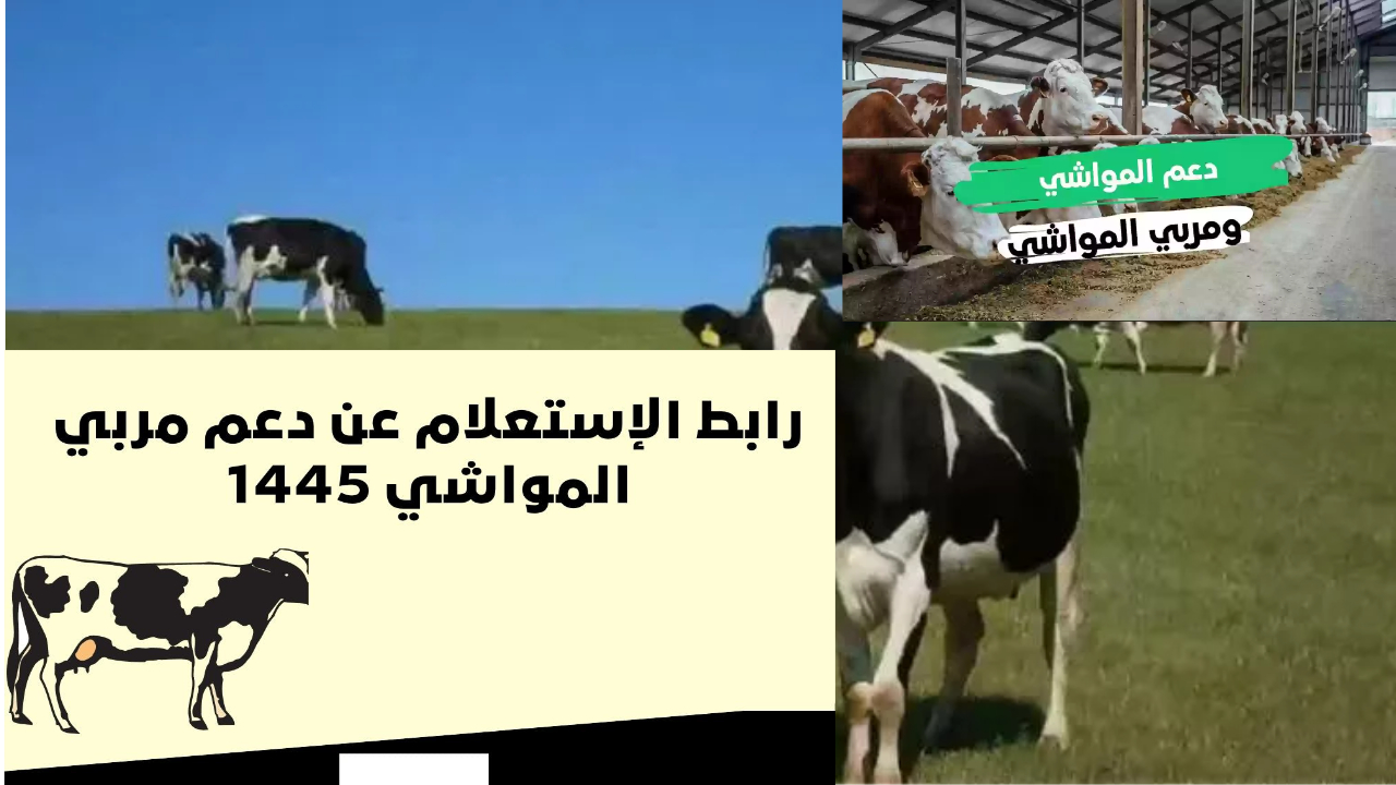 رابط استعلام دعم ريف 2024.. موعد نزول الدعم وشروط الأهلية لأسر المزارعين 5 رابط استعلام دعم ريف 2024.. موعد نزول الدعم وشروط الأهلية لأسر المزارعين
