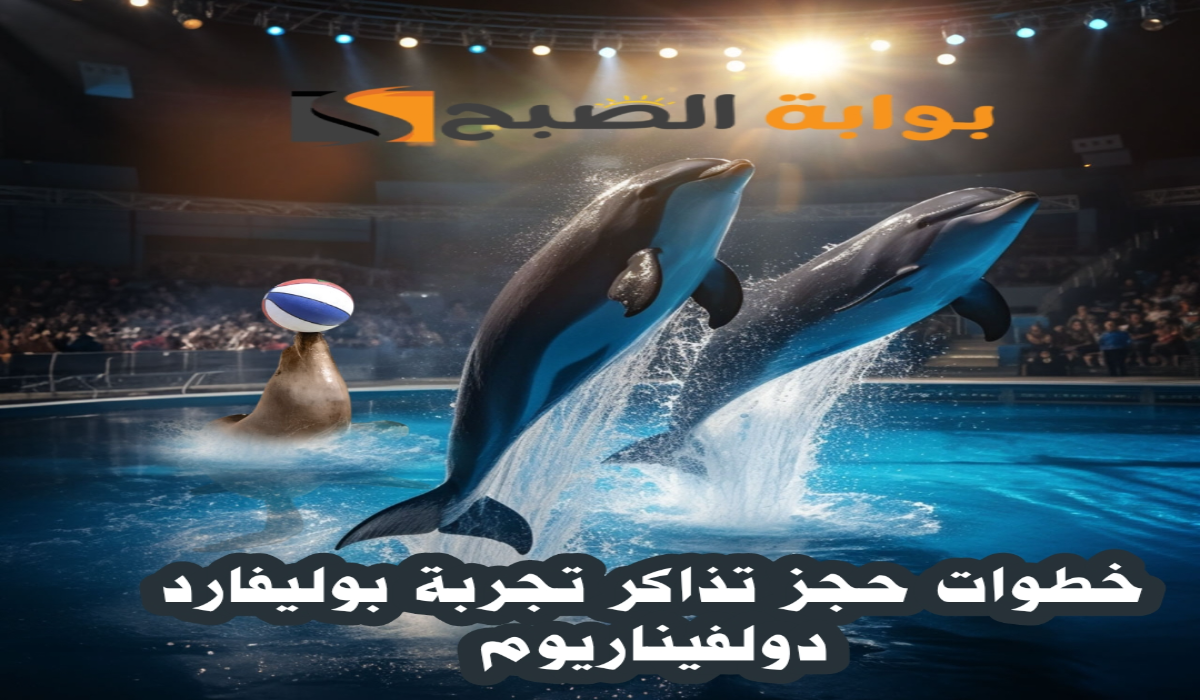 موعد ورابط حجز تذاكر بوليفارد دولفيناريوم ضمن فعاليات بوليفارد وورلد 2024-2025 5 موعد ورابط حجز تذاكر بوليفارد دولفيناريوم ضمن فعاليات بوليفارد وورلد 2024-2025